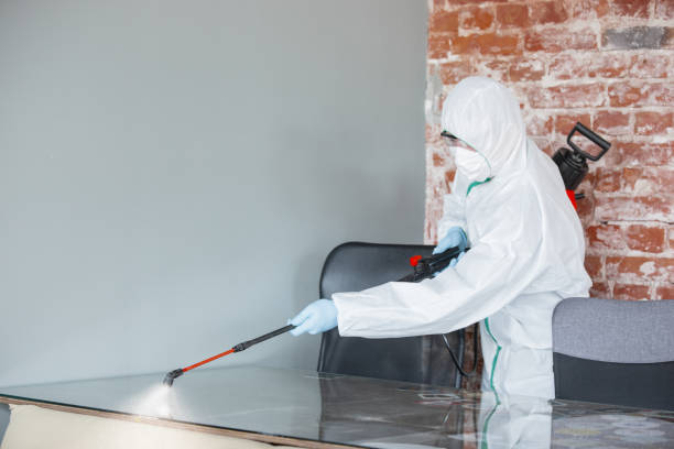 Kirksville, MO Mold Removal Services Company